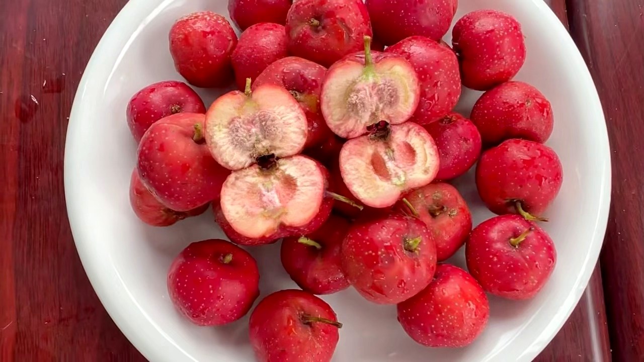 Fresh hawthorn fruit